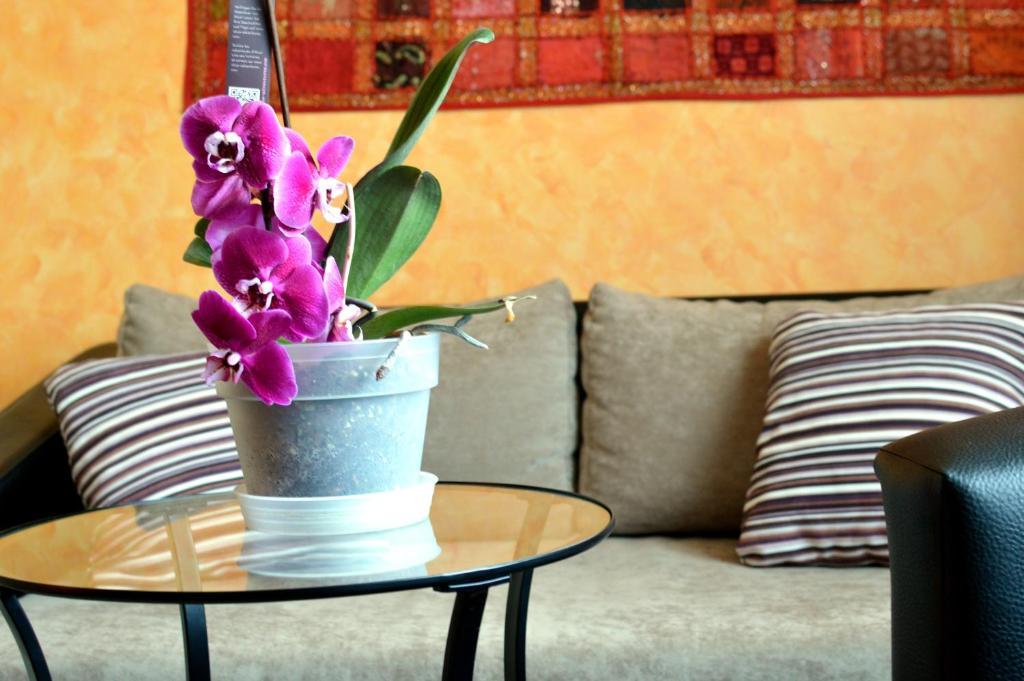 エゲル Flamingo Vendeghaz Bed & Breakfast エクステリア 写真