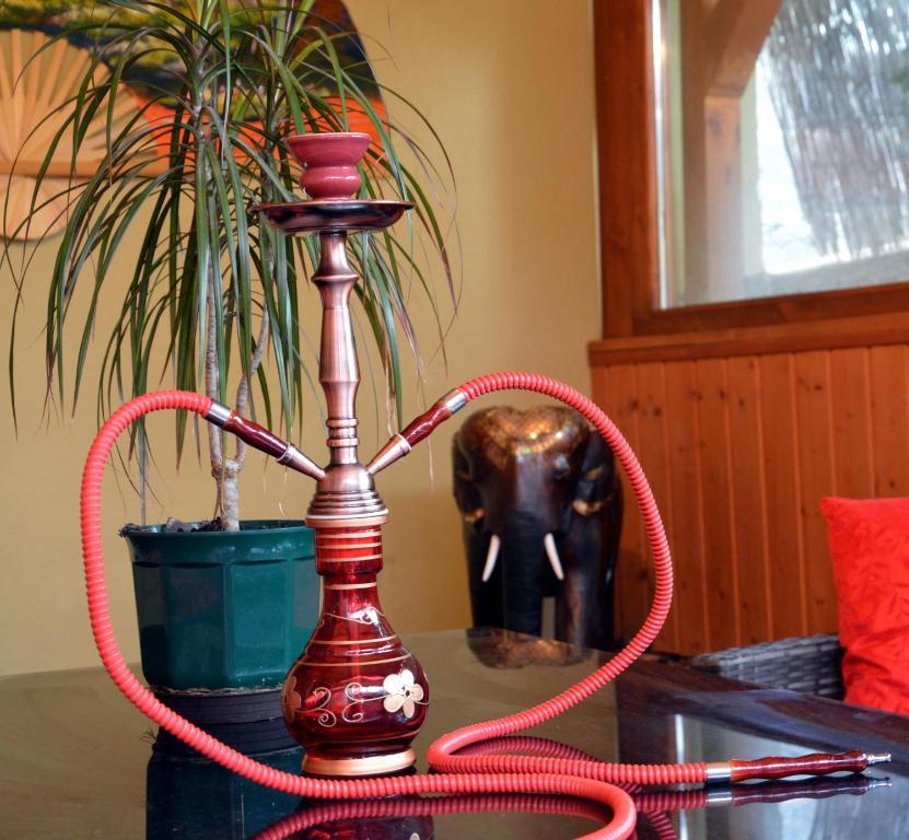 エゲル Flamingo Vendeghaz Bed & Breakfast エクステリア 写真